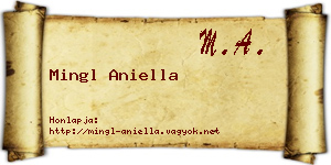 Mingl Aniella névjegykártya